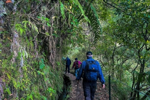 Ilha da Madeira: Passeio da Levada do Caldeirão Verde