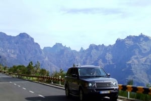 Madeira Island: Custom Full-Day 4WD Tour