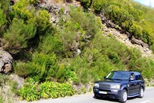 Madeira Island: Custom Full-Day 4WD Tour