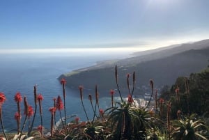 Madeira Island: Full-Day Guided Tour of Eastern Madeira