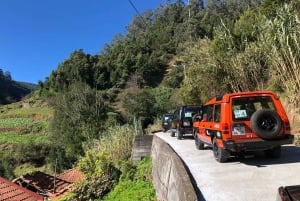 Madeira Island: Full-Day Guided Tour of Eastern Madeira