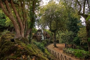 Madeira Island: Full-Day Guided Tour of Eastern Madeira