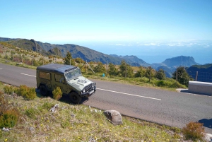 Ilha da Madeira: Excursão de 1 dia em jipe - Pico do Arieiro, Este
