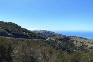 Ilha da Madeira: Excursão de 1 dia em jipe - Pico do Arieiro, Este