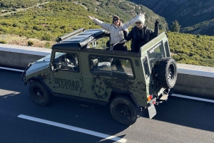 Ilha da Madeira: Excursão de 1 dia em jipe - Pico do Arieiro, Este