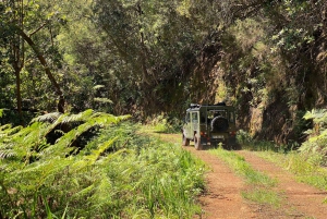 Ilha da Madeira: Excursão de 1 dia em jipe - Pico do Arieiro, Este
