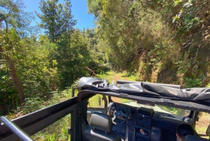 Ilha da Madeira: Excursão de 1 dia em jipe - Pico do Arieiro, Este