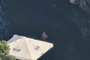 Madeira island full day tour