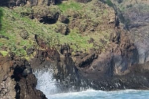 Madeira island full day tour