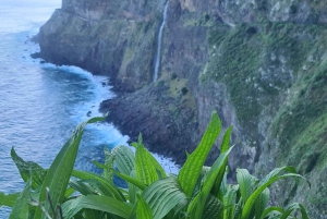 Madeira island full day tour