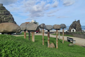 Madeira island full day tour