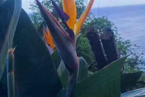 Madeira island full day tour