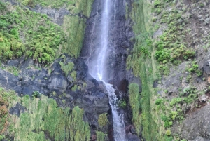 Madeira island full day tour