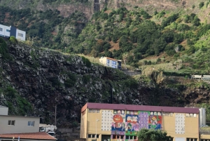 Madeira island full day tour