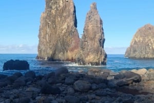 Madeira island full day tour