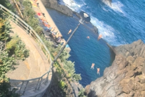 Madeira island full day tour