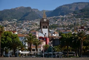 Funchal: aanpasbare privérondleiding per Tuk-Tuk