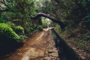 MADEIRA ISLAND WALK - 25 FOUNTAINS LEVADA