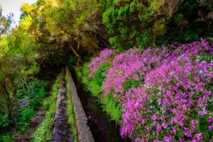 MADEIRA ISLAND WALK - 25 FOUNTAINS LEVADA