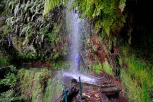 MADEIRA ISLAND WALK - HIDDEN CORNERS KINGS LEVADA