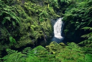 MADEIRA ISLAND WALK - HIDDEN CORNERS KINGS LEVADA