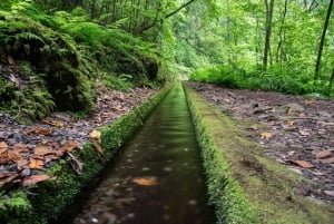 MADEIRA ISLAND WALK - HIDDEN CORNERS KINGS LEVADA