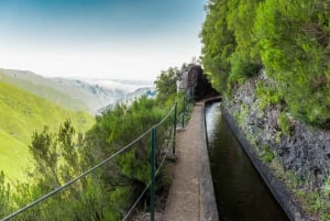 MADEIRA ISLAND WALK - LAKES OF MADEIRA , LEVADA DO ALECRIM