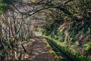 MADEIRA ISLAND WALK - LAKES OF MADEIRA , LEVADA DO ALECRIM