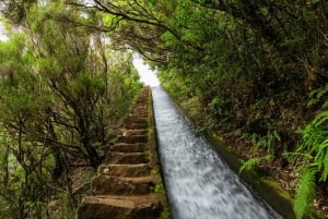MADEIRA ISLAND WALK - LAKES OF MADEIRA , LEVADA DO ALECRIM