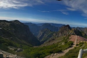 Madeira: Jeep 4x4 Old Forest Safari Tour with Pico Arieiro