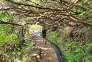 Madeira: Jeep 4x4 Old Forest Safari Tour with Pico Arieiro