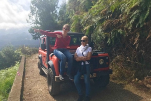 Madeira: Jeep 4x4 Old Forest Safari Tour Pico Arieiron kanssa