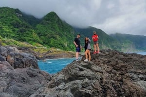 Madeira: Jeep 4x4 Safari Tour med Porto Moniz naturlige bassenger