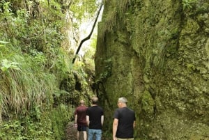 MADEIRA: Jeep Safari to Pico Arieiro & Santana local Houses