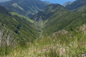 Madeira Jeep Safari Tour med Fanal Forest og naturlige pools