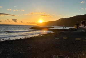 Madeira Jeep Safari Tour med Fanal Forest og naturlige pools
