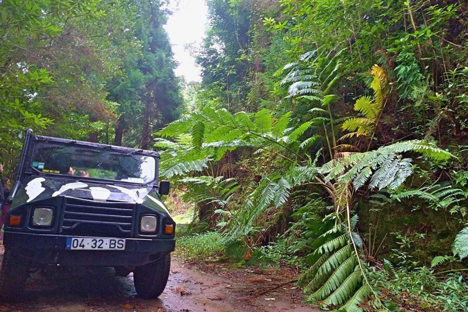 Full-Day 4x4 East Tour: Pico do Areeiro to Santana Waterfall