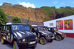 Funchal: tour da Pico do Areeiro a Santana 4x4 Est