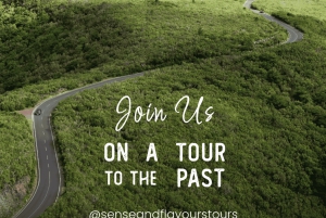 Madère : Safari Jeep Tours Explorez le sud-ouest avec des paysages inoubliables !