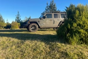 Madeira Jeep Tour 4x4 VIP Fanal Forest, Seixal Beach...