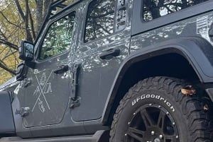 Madeira Jeep Tour 4x4 VIP Fanal Forest, Seixal Beach...