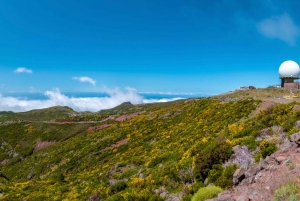 Madeira: Jeep Tour Pico Areeiro, Santa Cruz und Cristo Rei