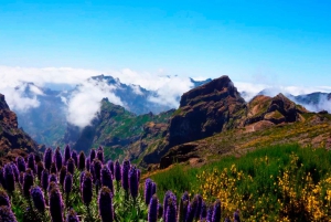 Madeira: Jeep Tour Pico Areeiro, Santa Cruz und Cristo Rei