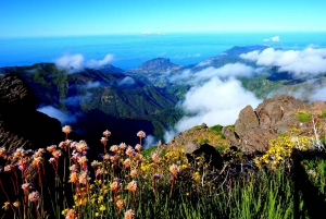 Madeira: Jeep Tour Pico Areeiro, Santa Cruz und Cristo Rei