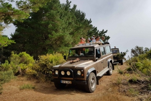 Madeira: Jeep Tour Pico Areeiro, Santa Cruz und Cristo Rei