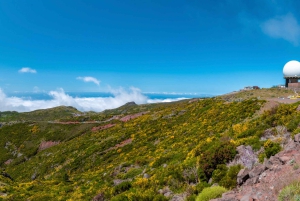 Madeira: Jeep tour Pico Areeiro, Santa Cruz en Cristo Rei