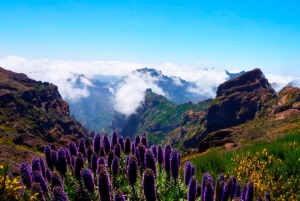 Madeira: Jeep tour Pico Areeiro, Santa Cruz en Cristo Rei