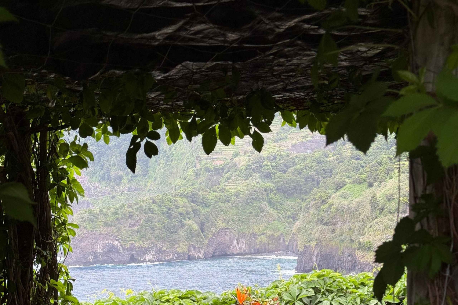 Madeira: Jeep-tur med zipline, gunga och vulkaniska pooler