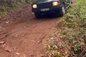 Madeira: Jeep Tour with Zipline, Swing, and Volcanic Pools