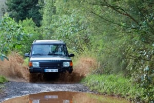 Madeira: Jeep Tour with Zipline, Swing, and Volcanic Pools